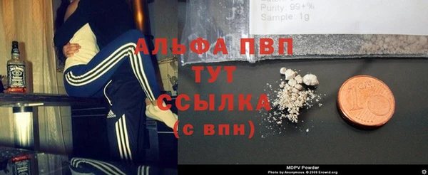 прущие грибы Ростов