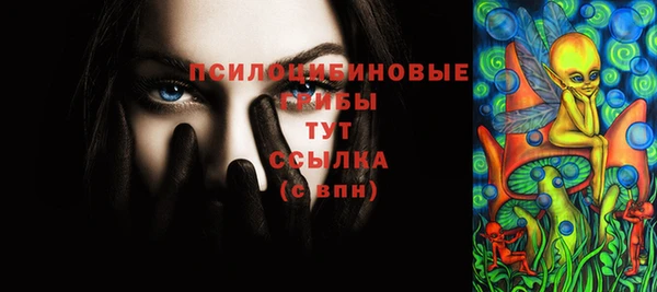 прущие грибы Ростов