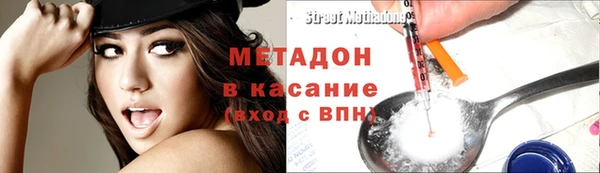 прущие грибы Ростов