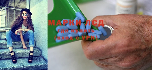 прущие грибы Ростов